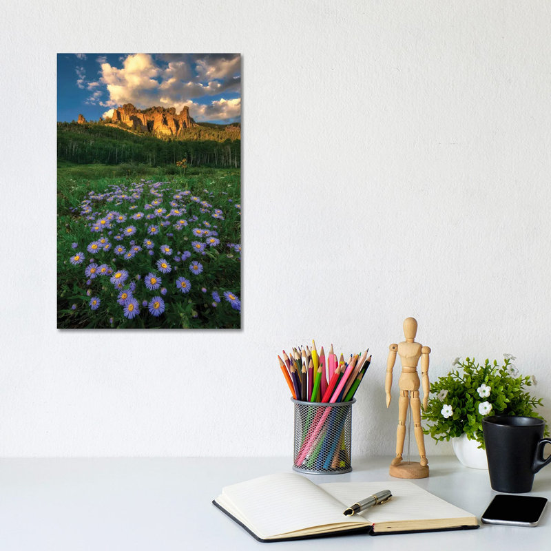 Canyon And Daisies By Mei Xu - Wrapped Canvas Photograph by Mei Xu - Wrapped Canvas Print, 30.48cm H x 20.32cm W x 1.91cm D
