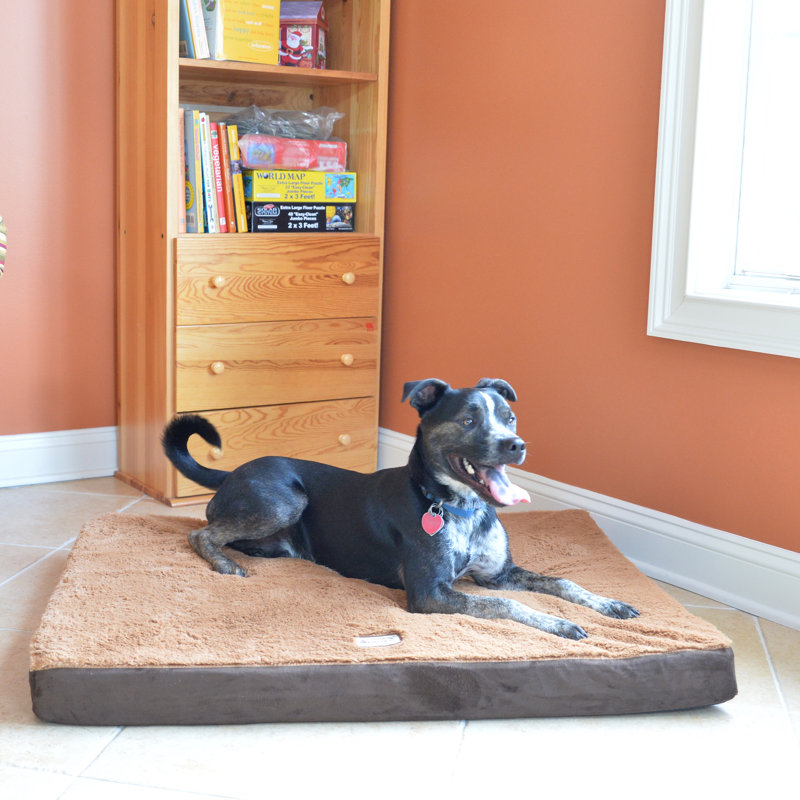 Tapis pour chien en mousse à mémoire de forme, Petit (l 23,5 po x P 18 po x H 2 po), Brun