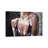 Light by Kira Balan - Gallery-Wrapped Canvas Giclée on Canvas-2018406831-2018406830