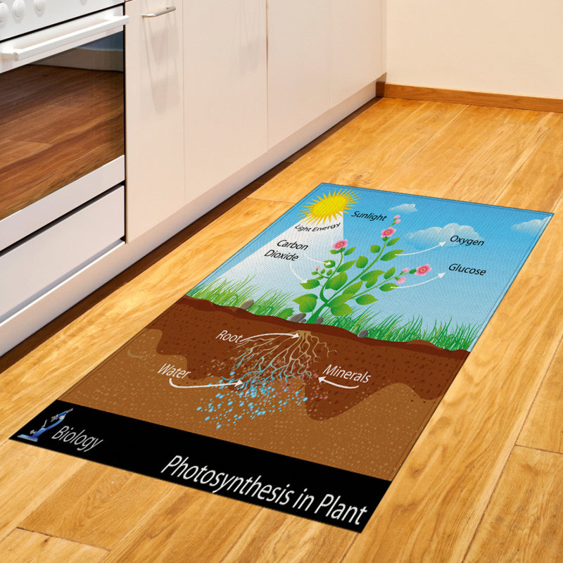Tapis décoratif à longues fibres en fibres à haute densité Science, Rectangle 2 pi 7 po x 5 pi