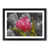 Black Framed selected