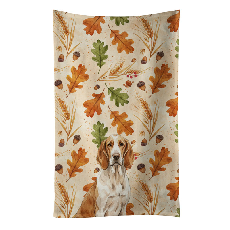 Torchon Braco Italiano, Braque italien