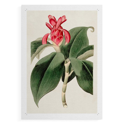 FloraOf TheTropicsI - Impression sur toile seulement - non encadrée
