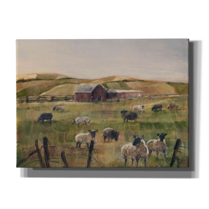 «Grazing Sheep II» par Ethan Harper, art mural sur toile, H 40 po x l 54 po x P 1,5 po