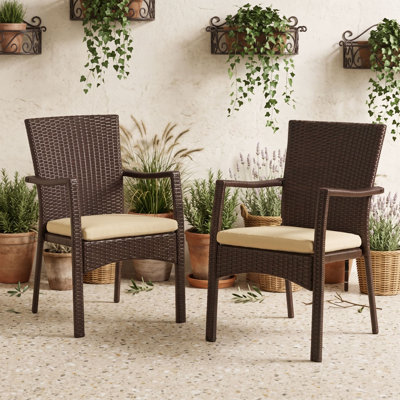 Outdoor Wicker Dining Chair Set of 2