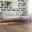 Ferrer 3 Seater Sofa Bed-1879544624