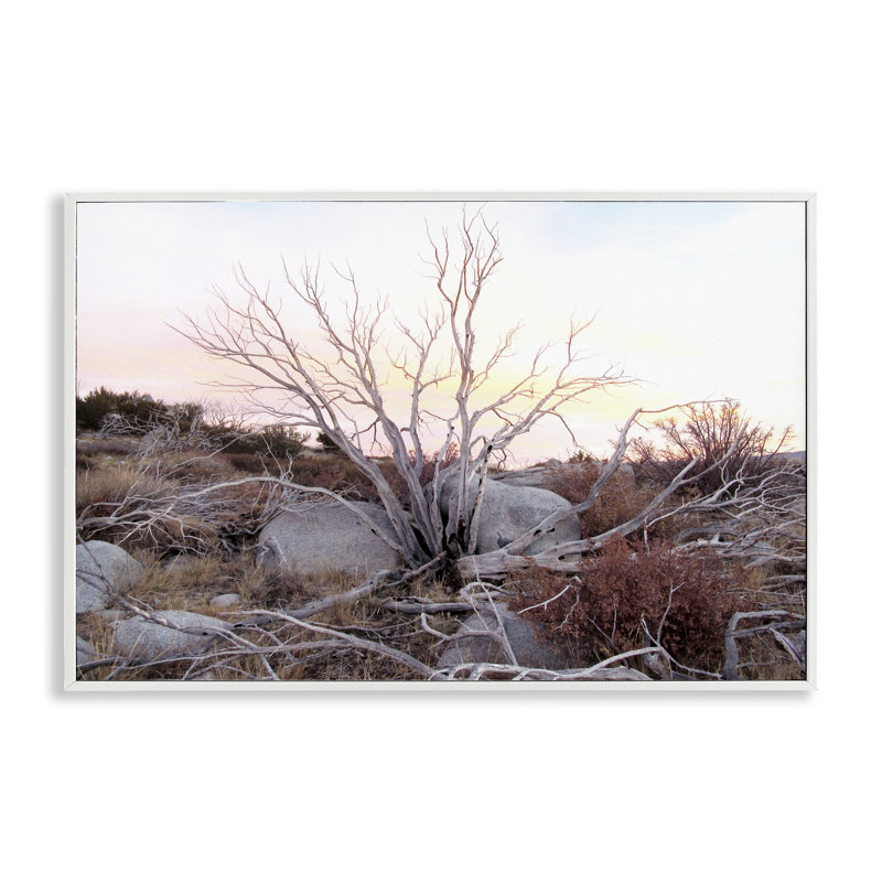 Estampe numérique Rocky Foothills, conçue par Gemma Bardot, H 16 po x l 24 po, Estampe numérique encadrée blanc bord de mer