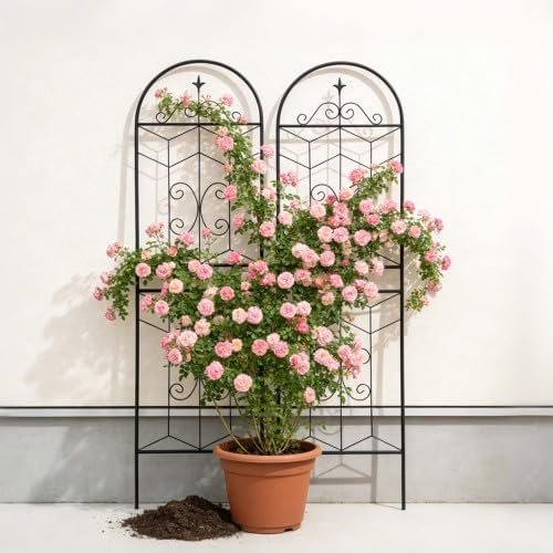 Cadre en métal robuste pour l'extérieur pour plantes grimpantes 71 po x 19,7 po