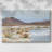 Desert Oasis Study II-Gallery Wrapped Canvas-979845480