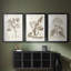 Antique sépia botanicals I - impression encadrée sur mesure de qualité supérieure - 3 pièces-810536289-810536290
