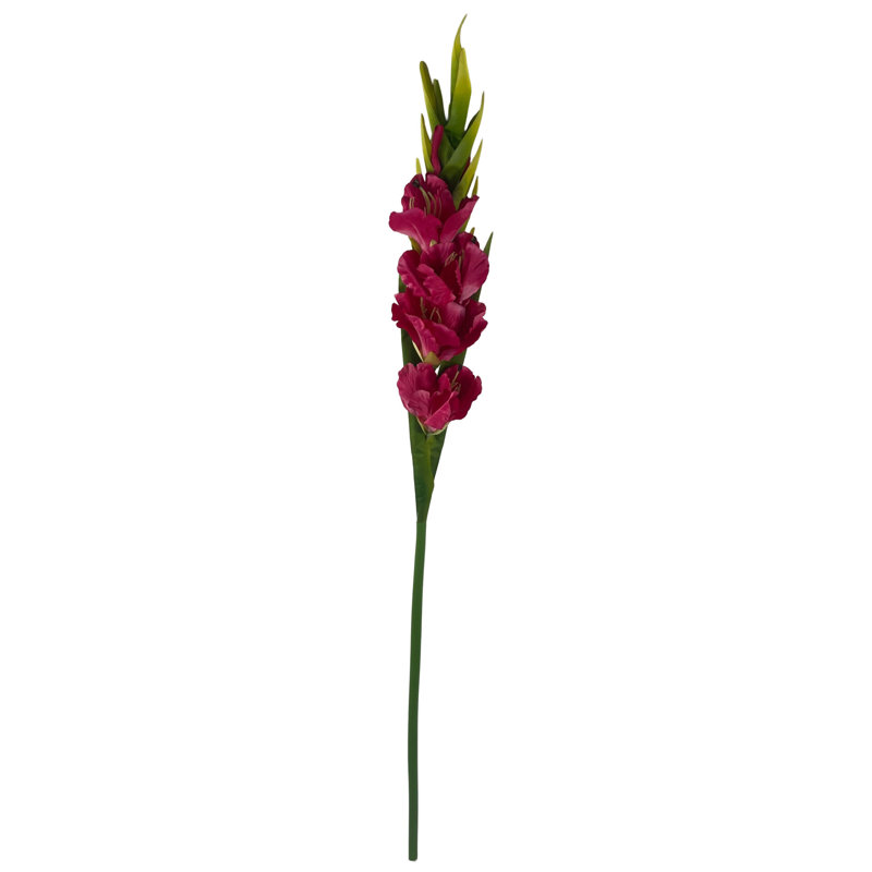 Aneris Arrangement