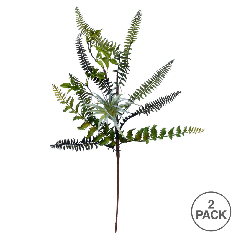 Fern Arrangement