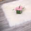 180cm X 100cm Area Rug