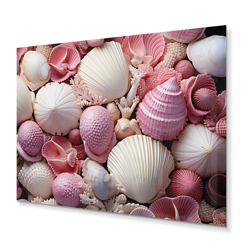 «Pink White Shells Seashore Collage II», reproduction sur toile, H 16 po x l 32 po, Metal