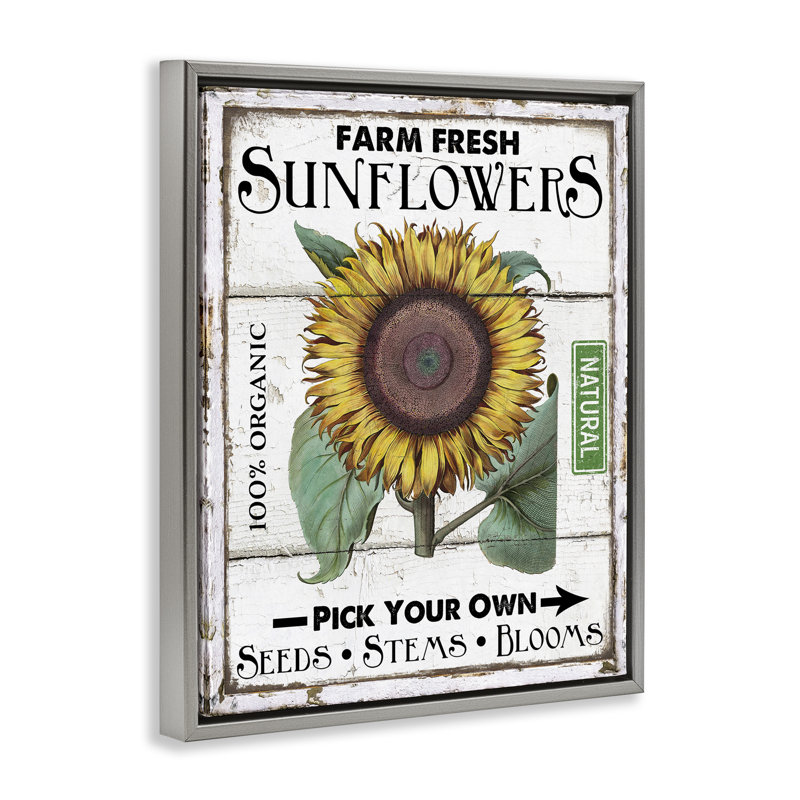  «Rustic Farm Fresh Sunflowers», art mural encadré sur toile flottante par Creatif Belle, H 21 po x l 17 po