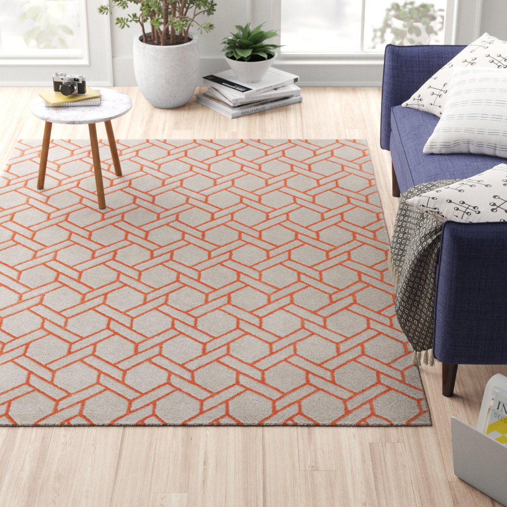 Hand Tufted Orange Rug