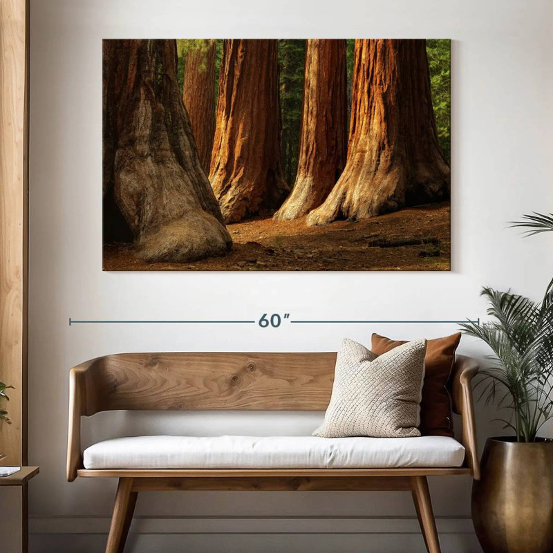 Harnek Ancient Sequoia Trees