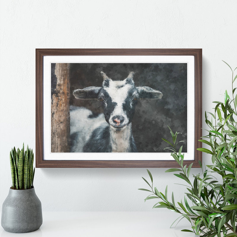 Goat Vol.2 - Picture Frame Painting, Walnut Framed, 48cm H x 65cm W x 2cm D