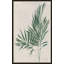 «Palm Botanical IV» par Julia Purinton - impression-65863359-65863358