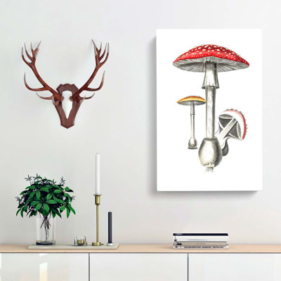 Amanita Muscaria Mushroom Illustration - Wrapped Canvas Painting