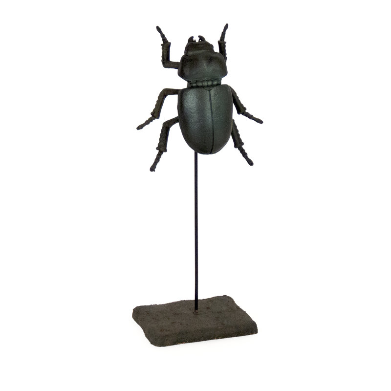 Small Stag Beetle on Stand
