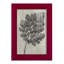 Blossfeldt Botanical III, reproduction d'art encadrée-2017380675-2017380679