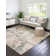 Abrianne Abstract Indoor Rug