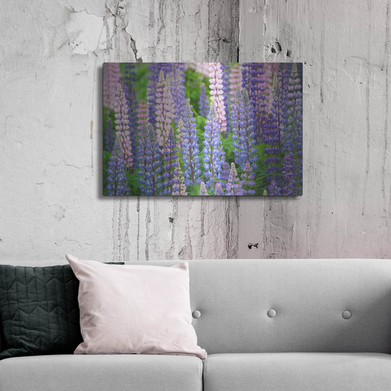 «Blue Pink Lupine Field» par Cora Niele, H 12 po x l 16 po