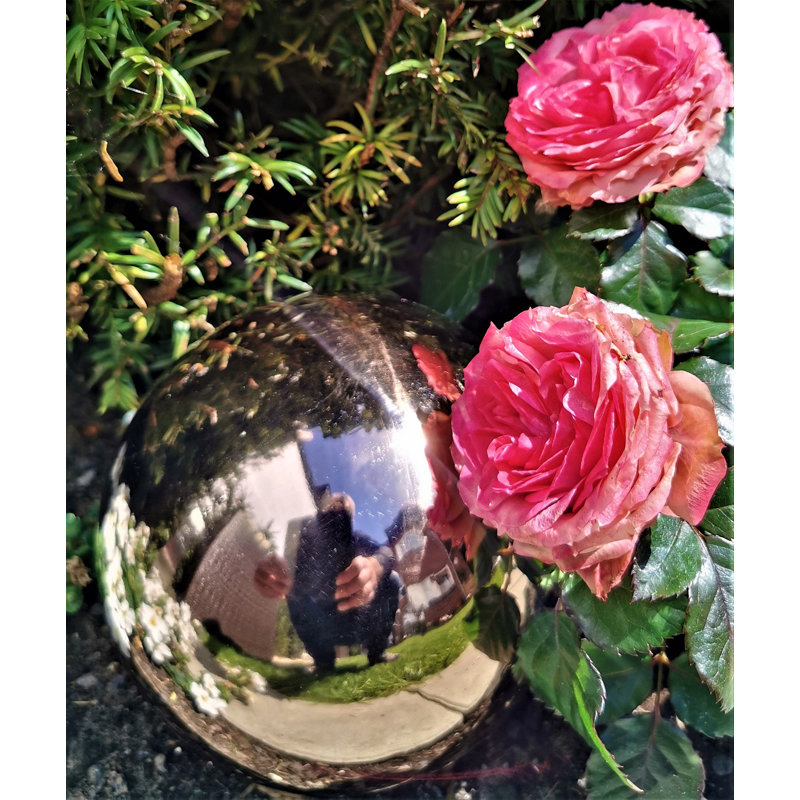 Chaitan Stainless Steel Gazing Ball, 20cm H x 20cm W x 20cm D, Golden rose, 1