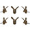 Rabbit Oversized 2 2/5" Length Novelty Knob Multipack