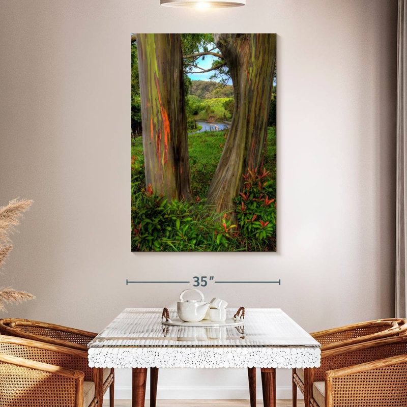 Harnek Roadside Rainbow Eucalyptus, 51" H x 34" W