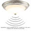 Flush Mount-1847046630