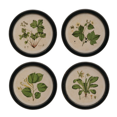 Wood Framed Wall Decor with Vintage Reproduction Botanical Print