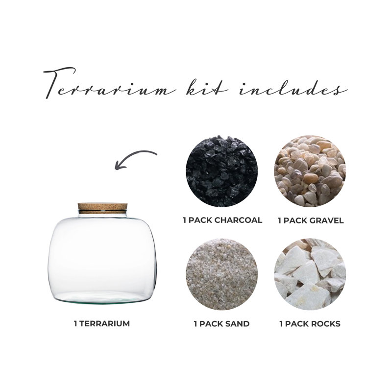 Glass Terrarium