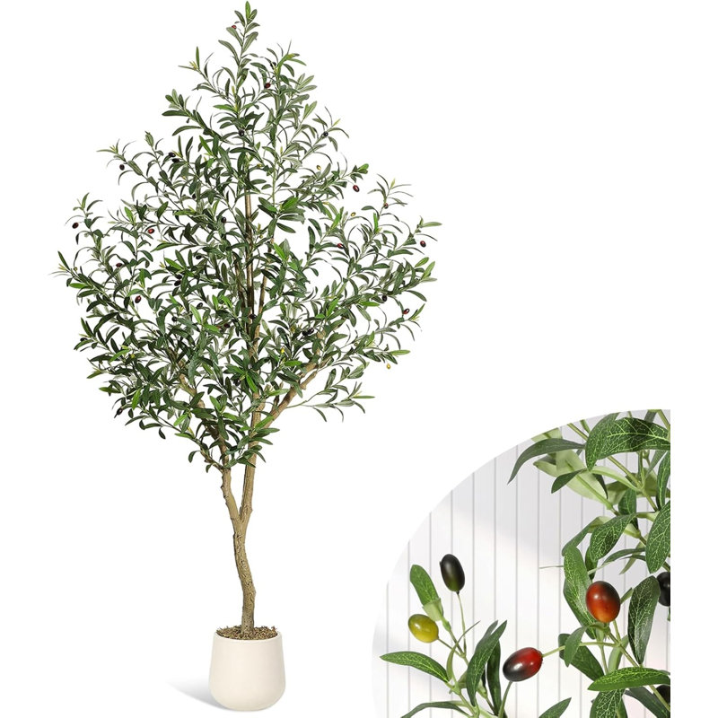 152.4cm Plant