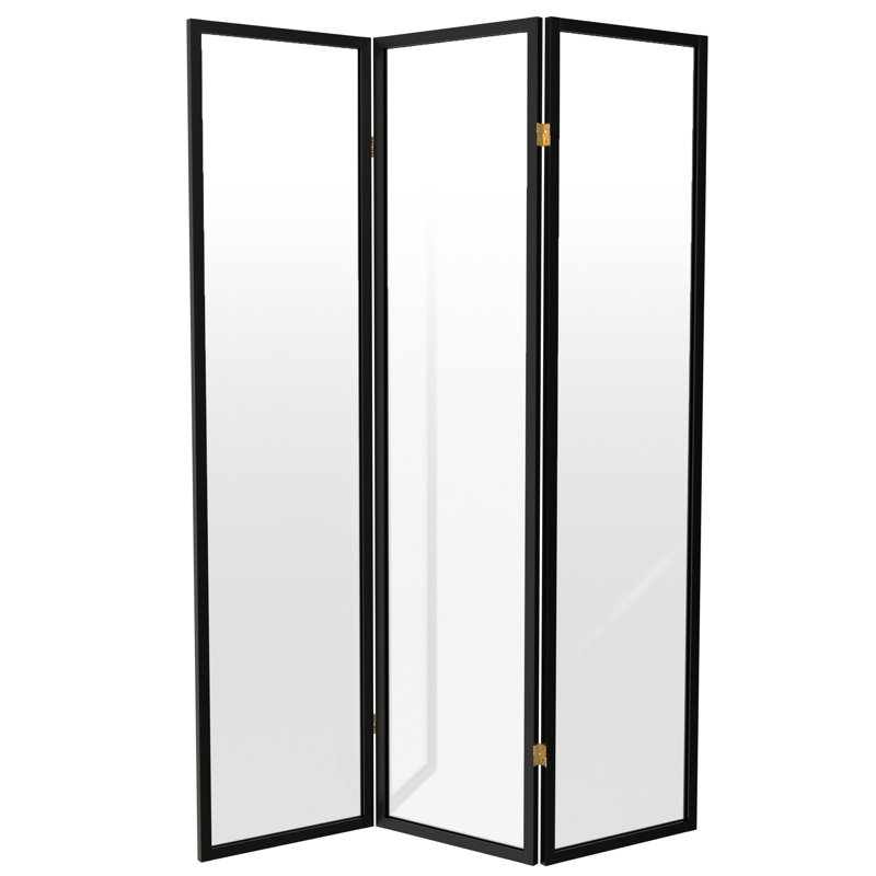 Cloison en plastique transparent Alayzhia, 3, 6 pi, Noir