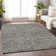 Machine Washable Indoor/Outdoor Christain ACN1223 Pewter Rug