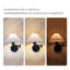 Iron Armed Sconce