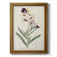 Toile encadrée de qualité supérieure Antique Botanical Collection VII - prête à être accrochée-1376612734