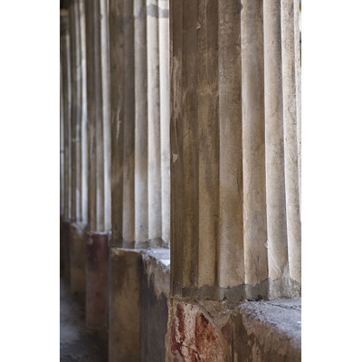 Colonna Marrone Print by Karyn Millet