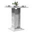 Table bistro vidaXL-1441254994