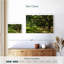 Paysage Harnek Boone Hall-108914079