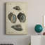 Étude de coquillage rétro III - peinture sur toile tendue-706319334