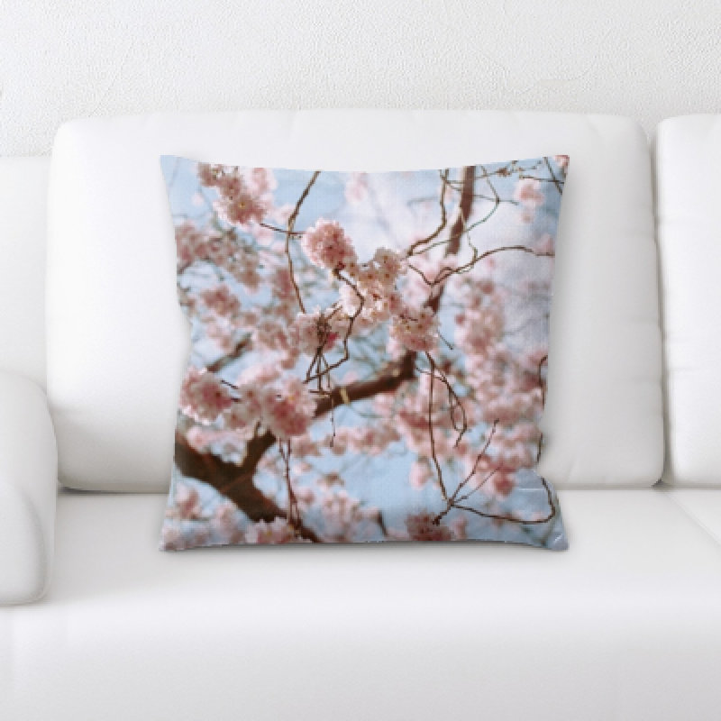 Coussin décoratif