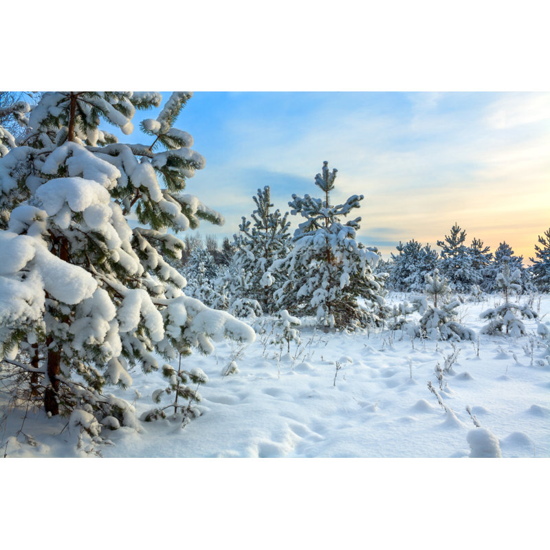 Paysage d'hiver - photographie sur toile tendue, H 32 po x l 48 po