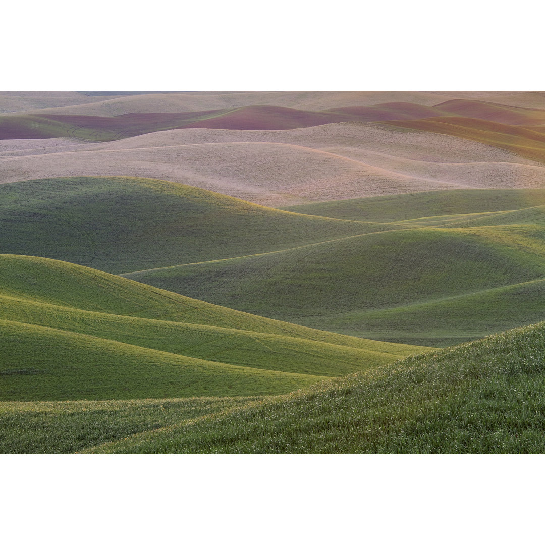 Palouse Hills von Justinreznick - Drucken