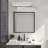 Nafissa 2-light Dimmable Led Bath Bar-1752381679