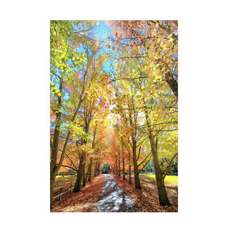 «Colors of Autumn» par Beata Czyzowska - reproduction de photo sur toile tendue, H 24 po x l 16 po x P 2 po