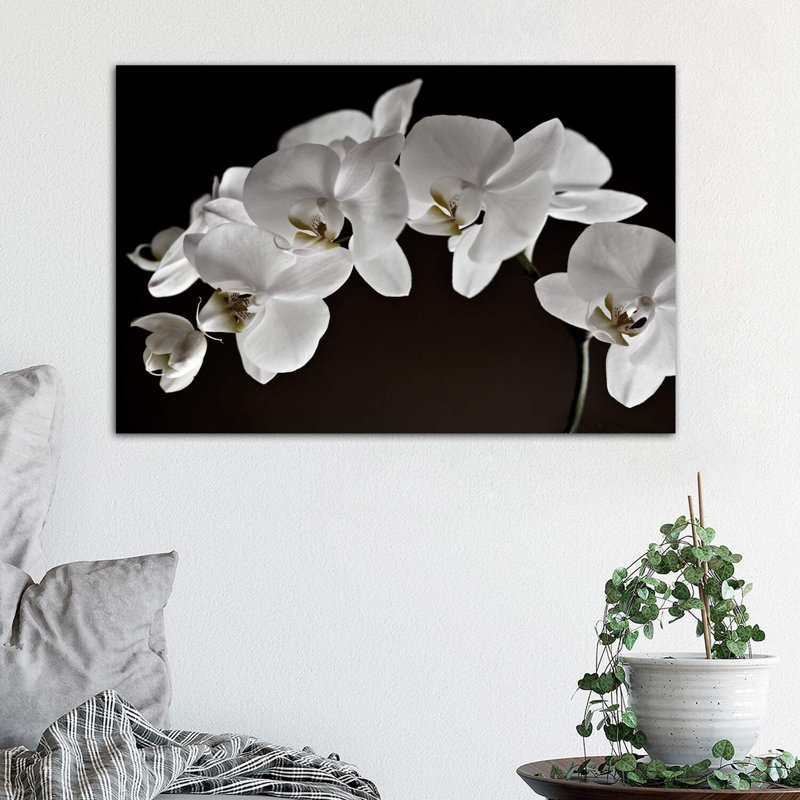 Orchidées - reproduction de photo, Toile tendue, H 18 po x l 26 po x P 1,5 po