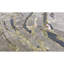 One-of-a-Kind 5' X 8' Area Rug